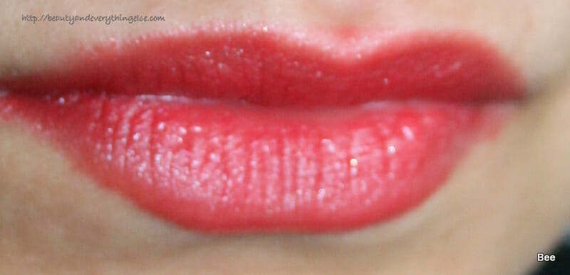 Wet n Wild MegaShield Lip Color That's Berry Beautiful